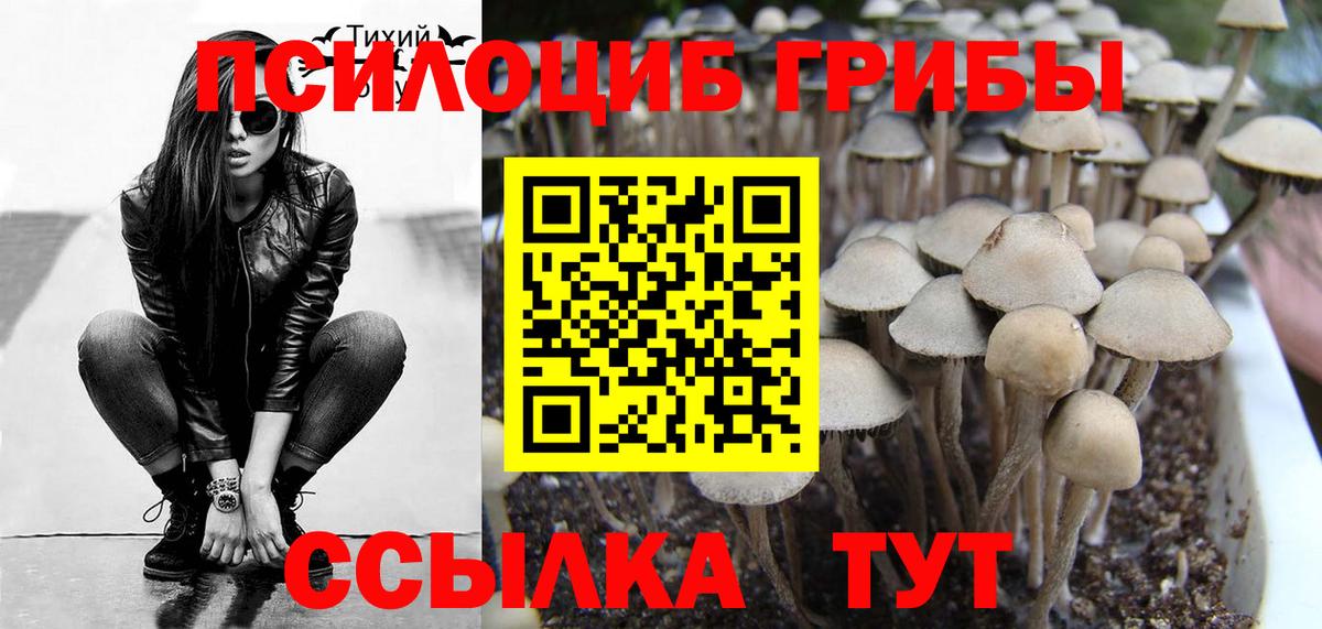 Дюртюли  Галлюциногенные грибы GOLDEN TEACHER  Вход с VPN 